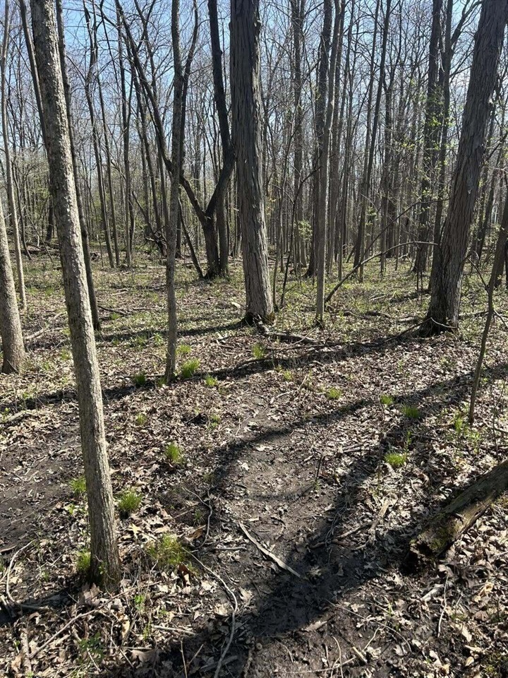 Halfmoon Lake Rd. Property Photo 3