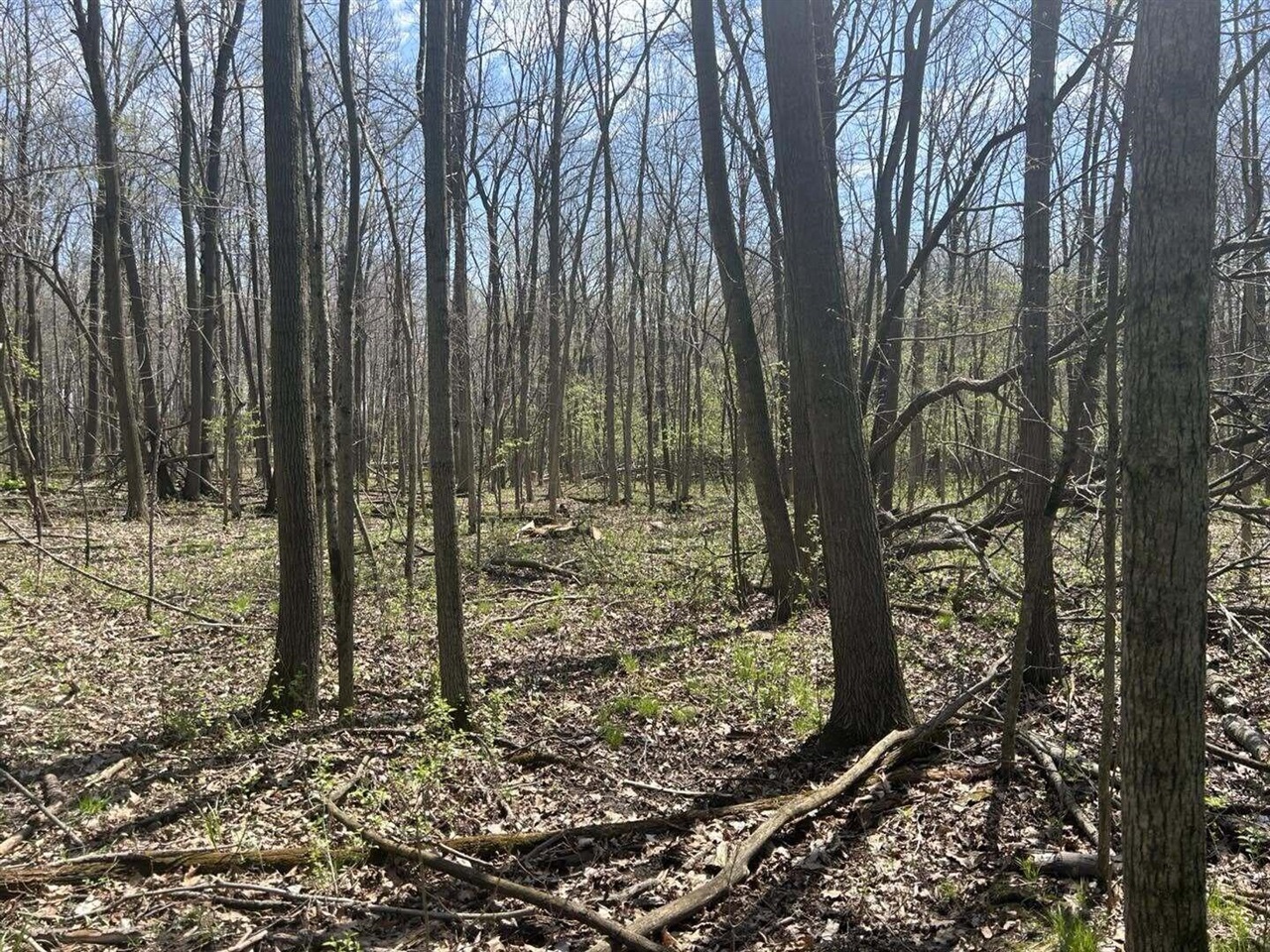 Halfmoon Lake Rd. Property Photo 4