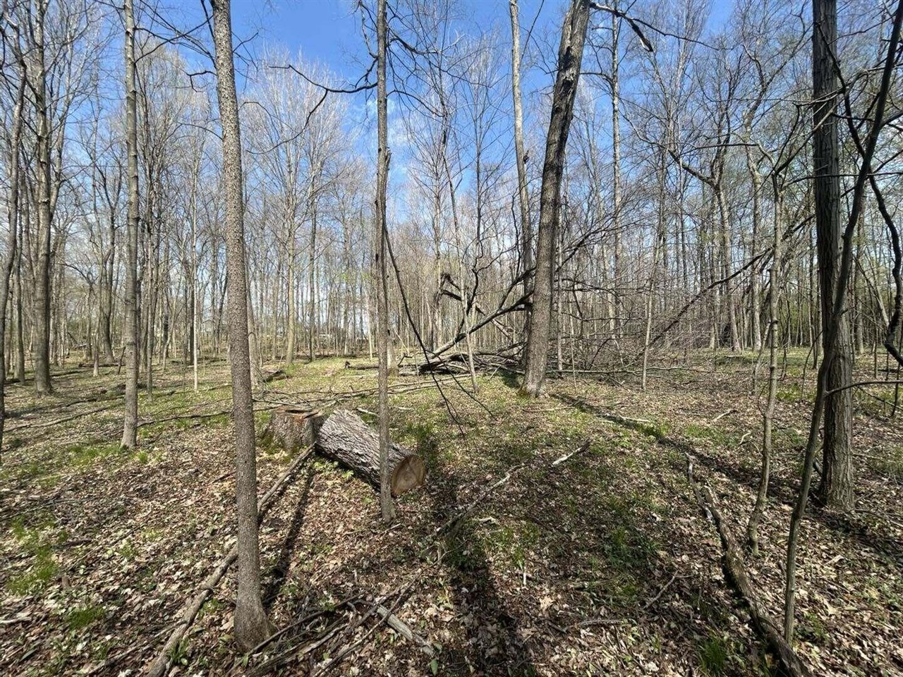 Halfmoon Lake Rd. Property Photo 5