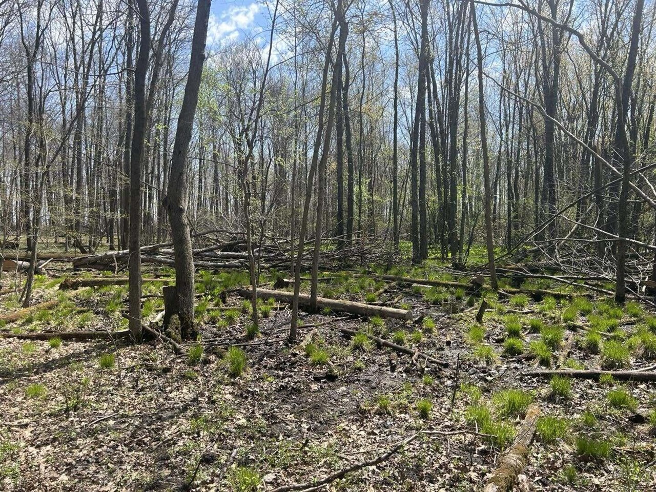 Halfmoon Lake Rd. Property Photo 7