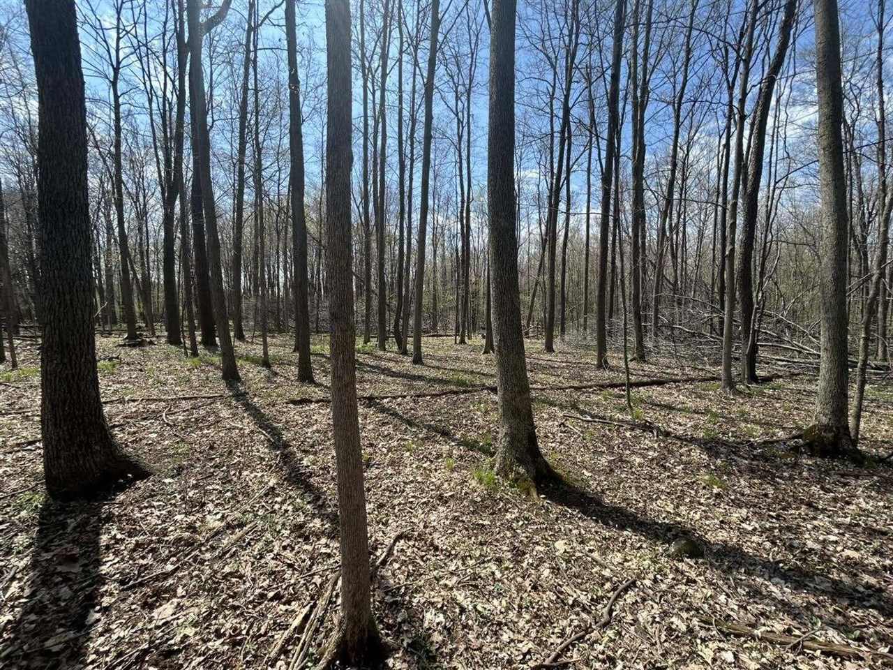 Halfmoon Lake Rd. Property Photo 8