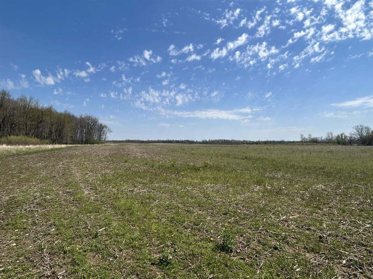 Halfmoon Lake Rd. Property Photo 9