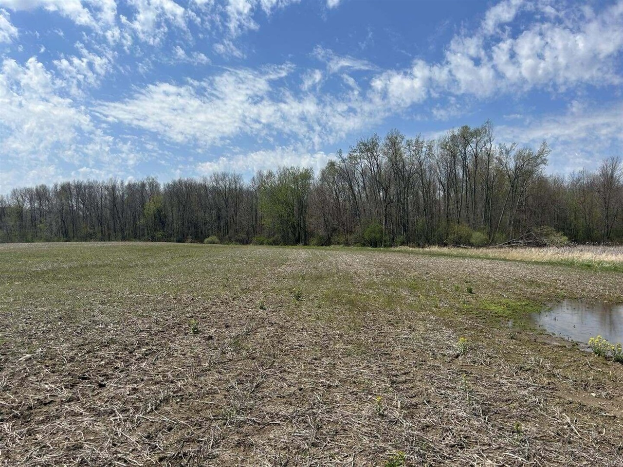 Halfmoon Lake Rd. Property Photo 11