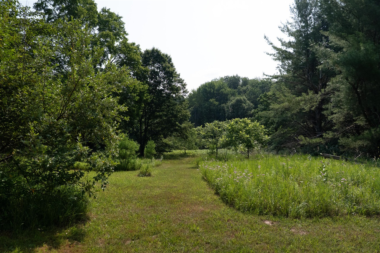 3820 N Beech Avenue Property Photo 24