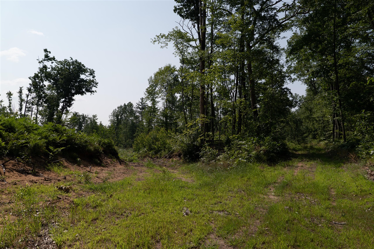 3820 N Beech Avenue Property Photo 28