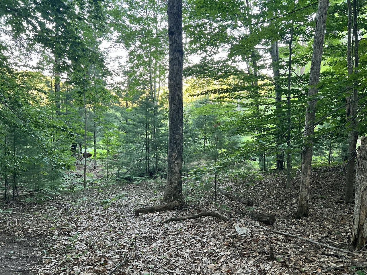 Lot 13 Northern Drive Property Photo 4