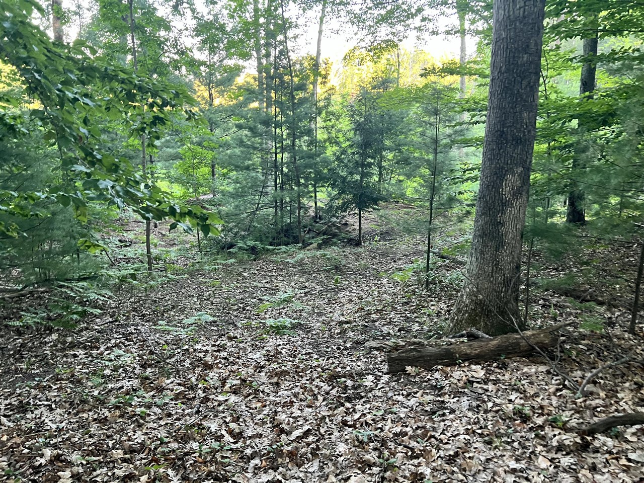Lot 13 Northern Drive Property Photo 6