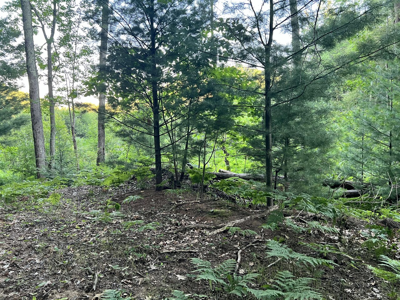Lot 13 Northern Drive Property Photo 7