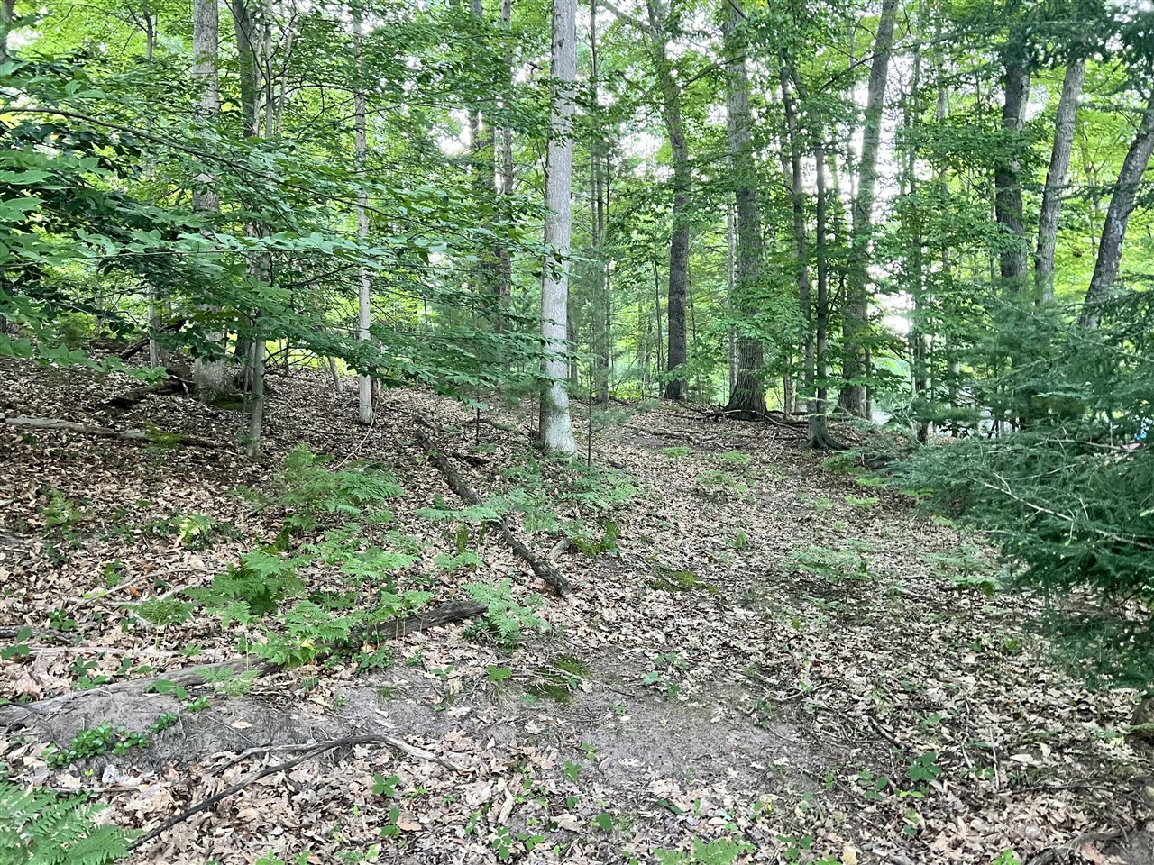 Lot 13 Northern Drive Property Photo 8