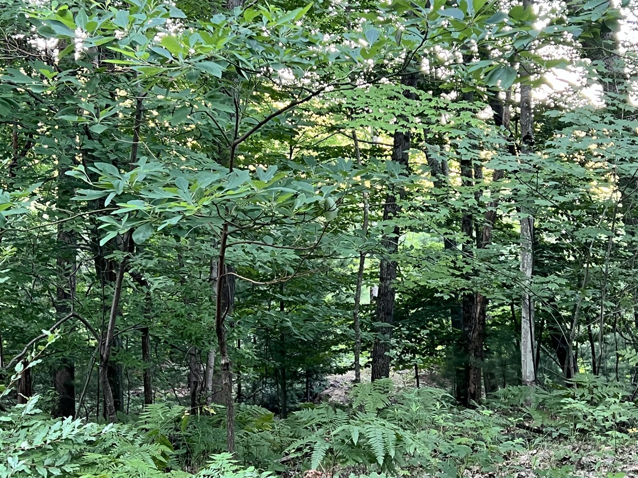 Lot 13 Northern Drive Property Photo 12