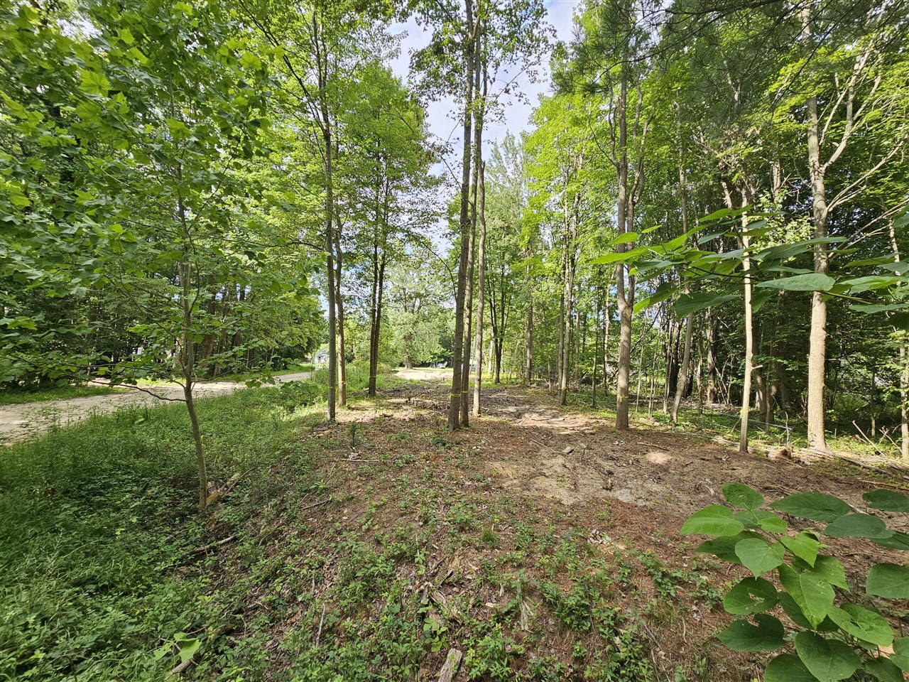 Miami Avenue Property Photo 3
