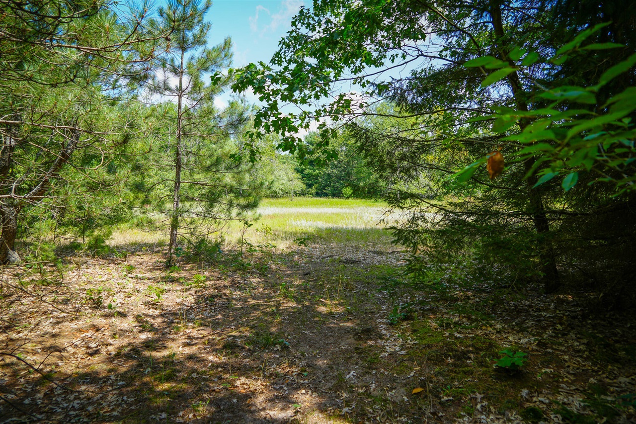 V/l W Adams Road Property Photo 11