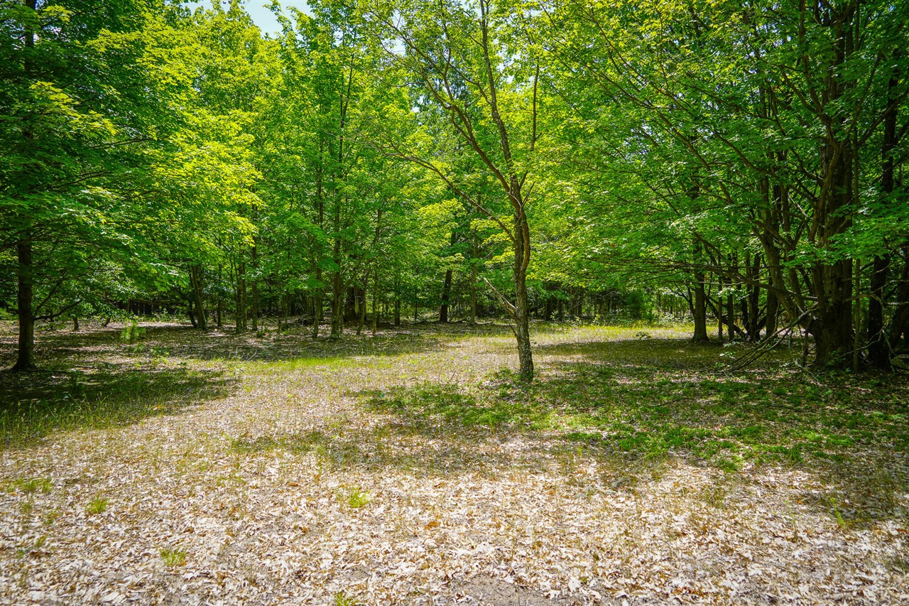 V/l W Adams Road Property Photo 12