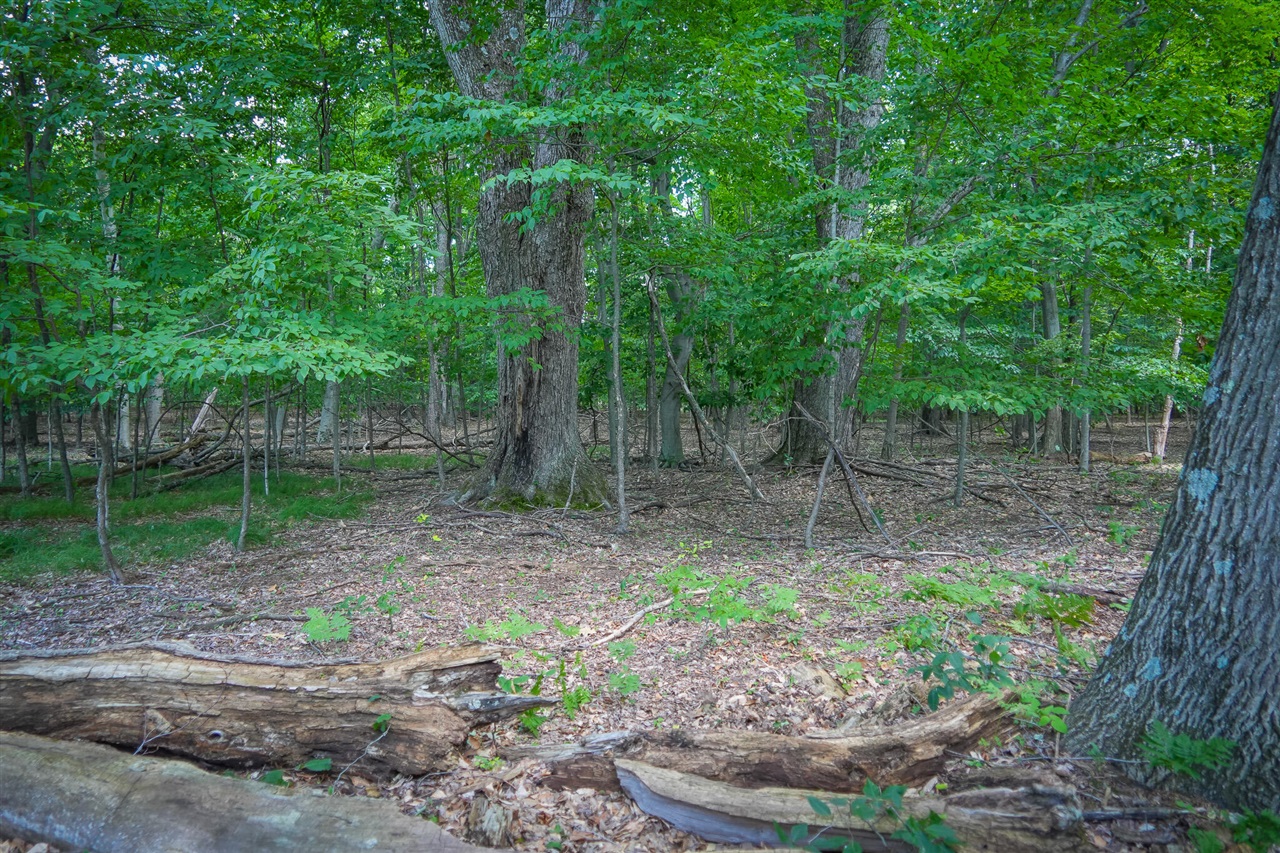 V/l W Adams Road Property Photo 15
