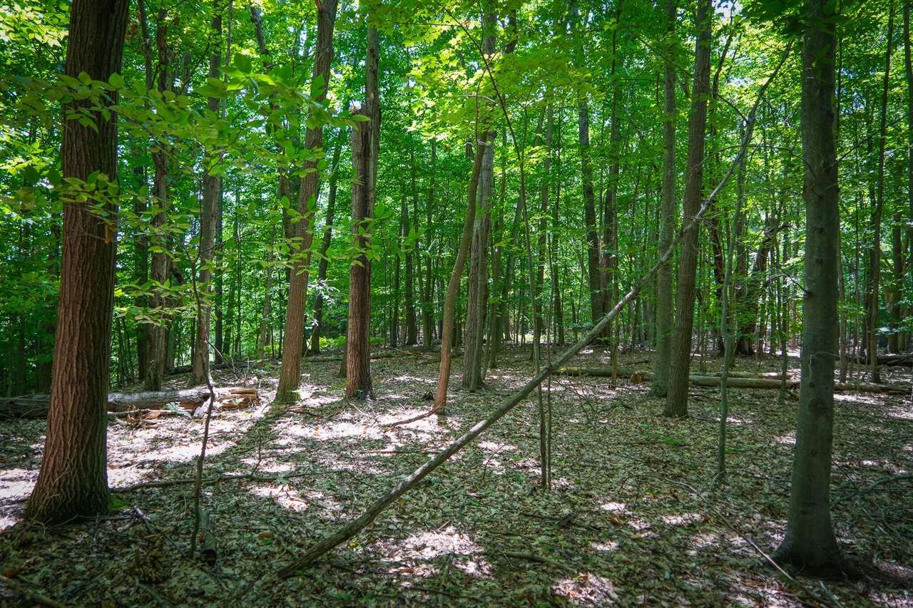 V/l W Adams Road Property Photo 18