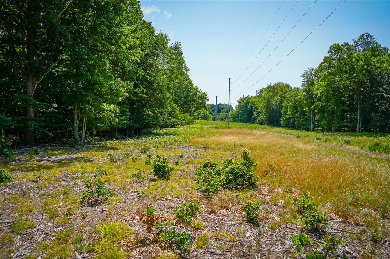 V/l W Adams Road Property Photo 19