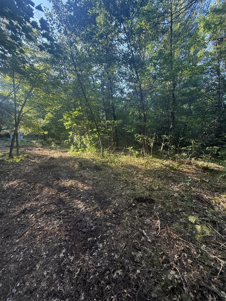 Michael Drive Property Photo 4