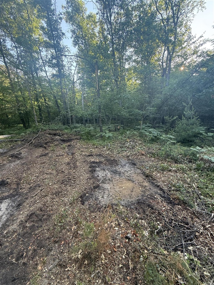 Michael Drive Property Photo 6