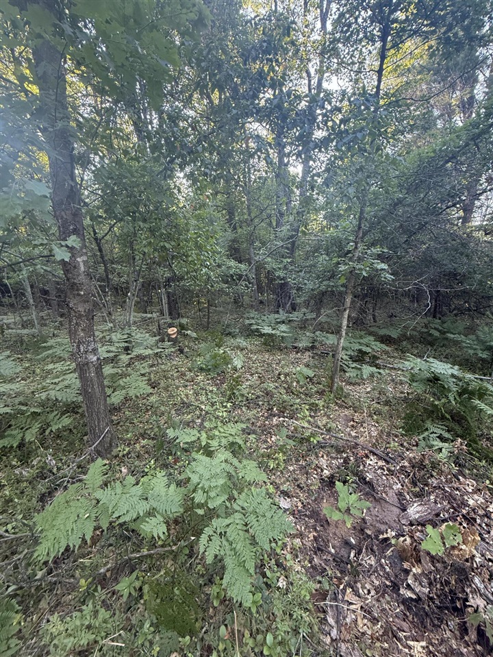 Michael Drive Property Photo 7