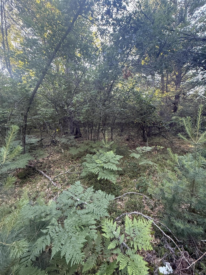 Michael Drive Property Photo 8