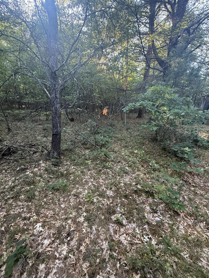 Michael Drive Property Photo 9