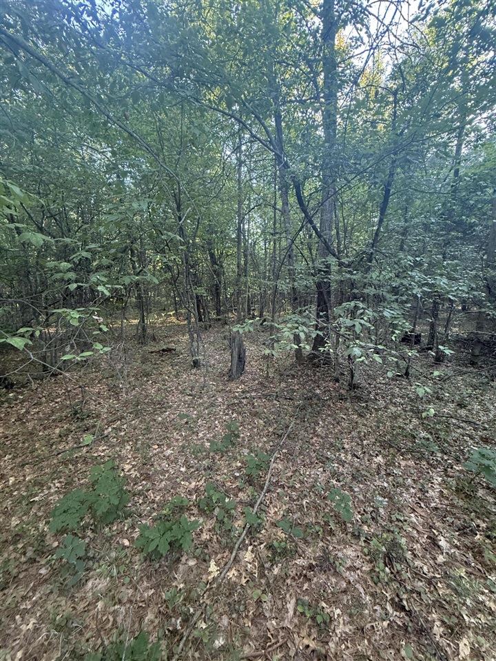 Michael Drive Property Photo 11