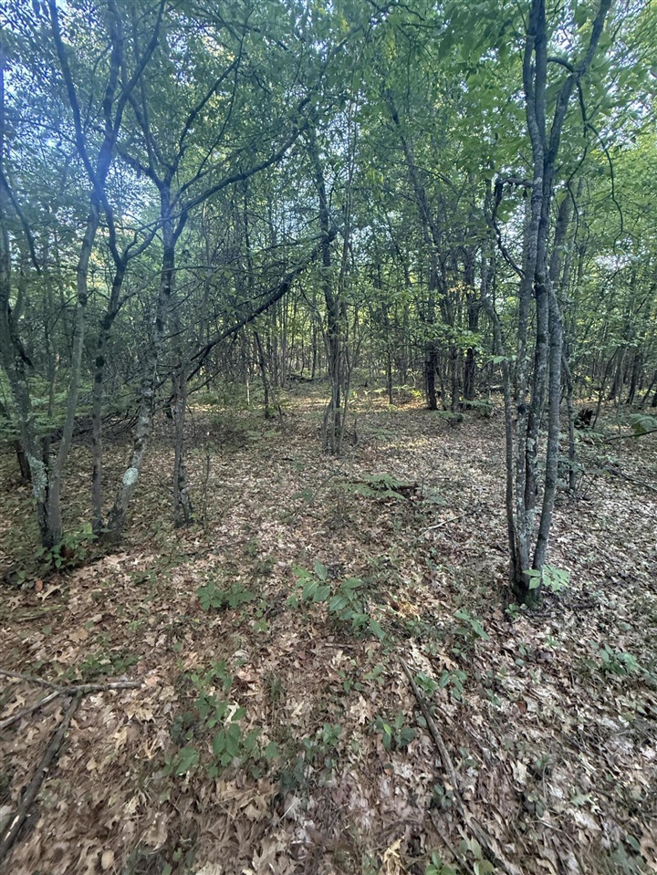 Michael Drive Property Photo 12