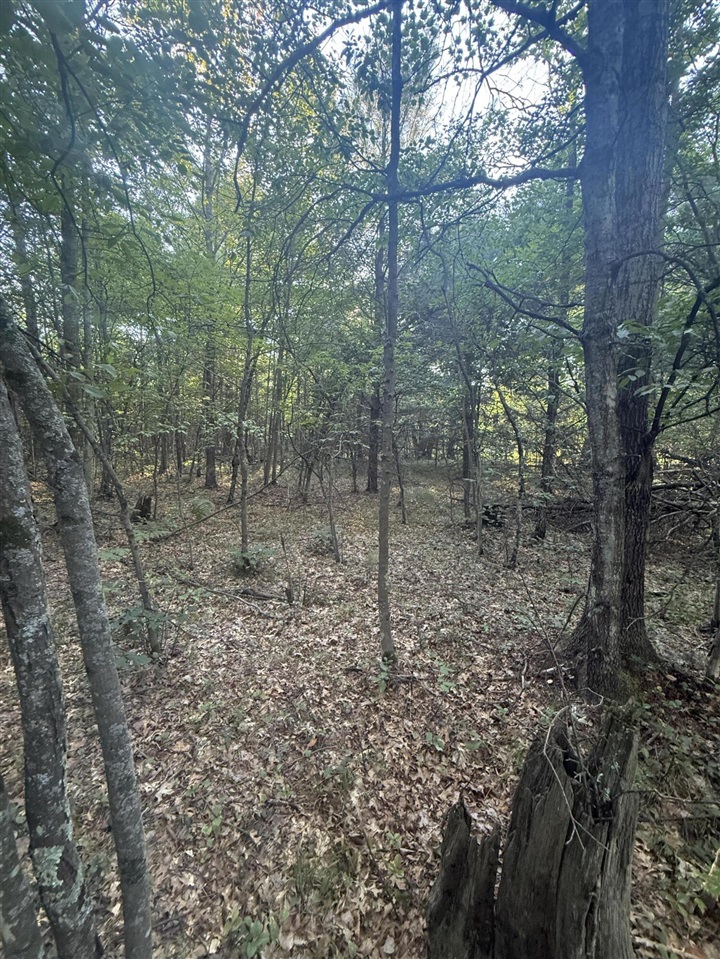 Michael Drive Property Photo 13