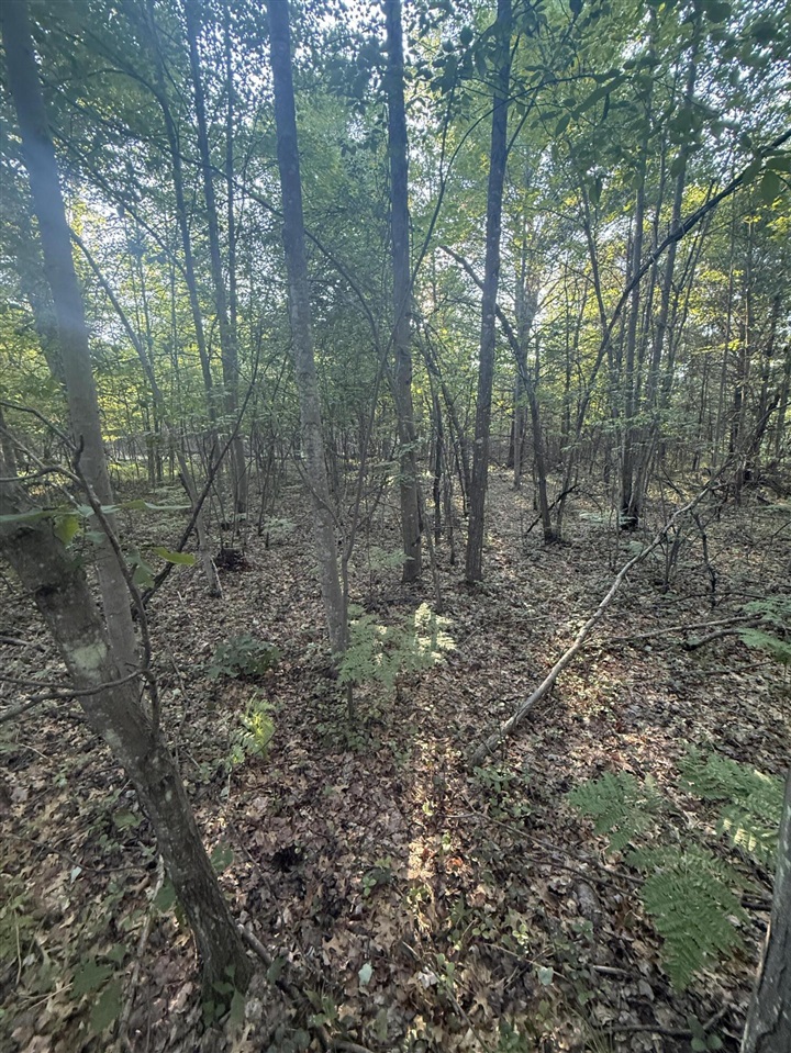 Michael Drive Property Photo 14