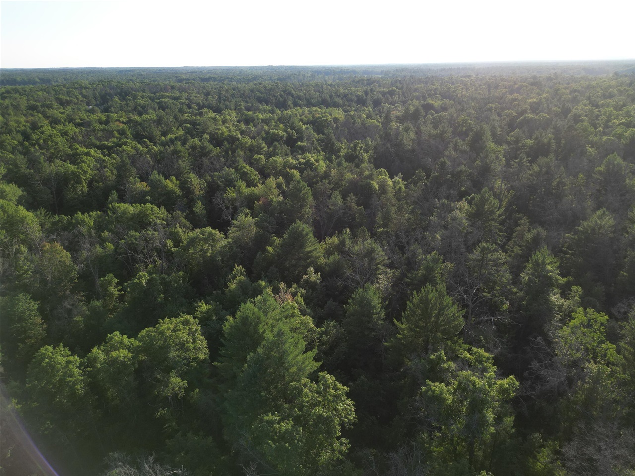 Michael Drive Property Photo 16