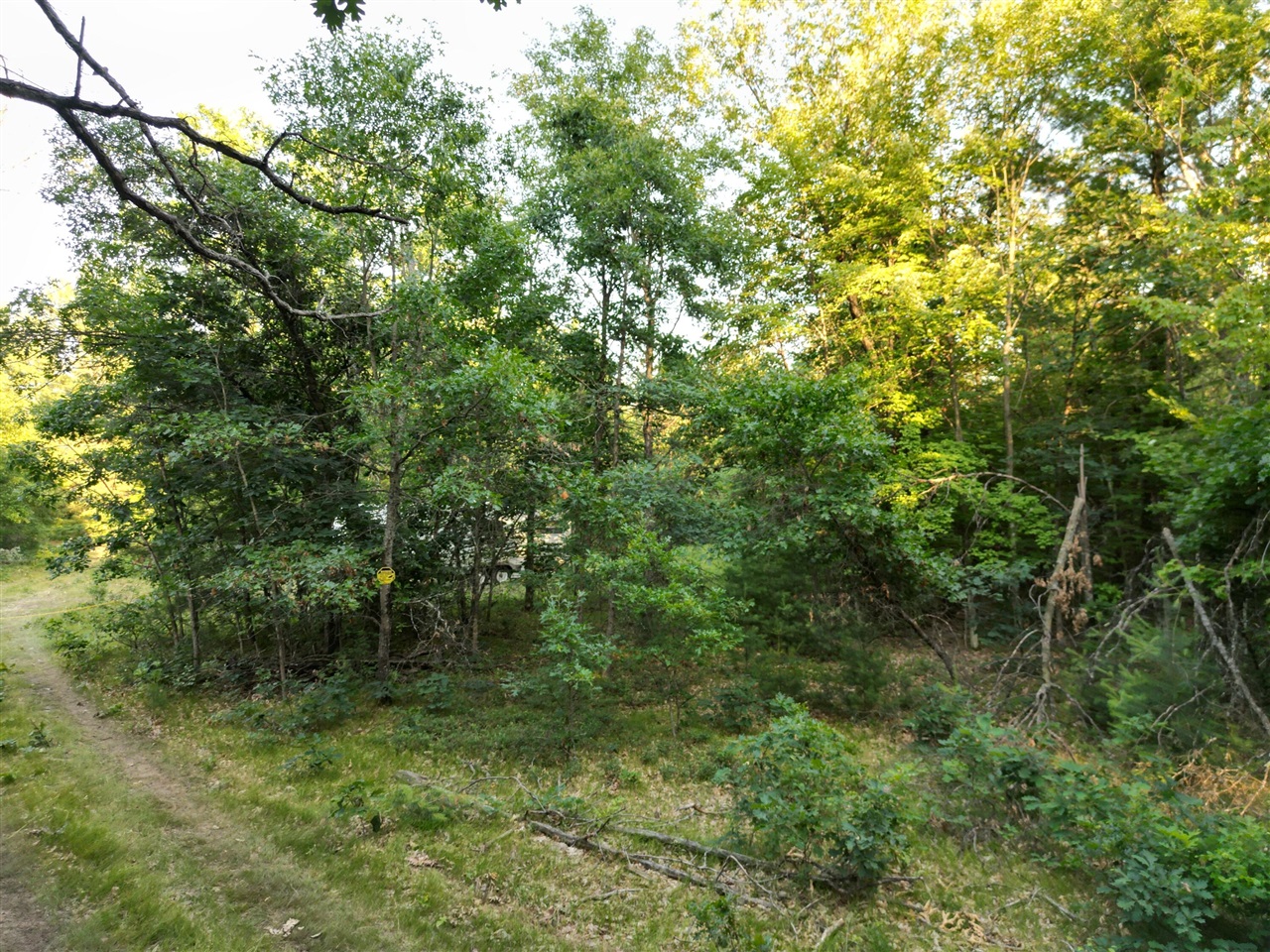 Michael Drive Property Photo 17