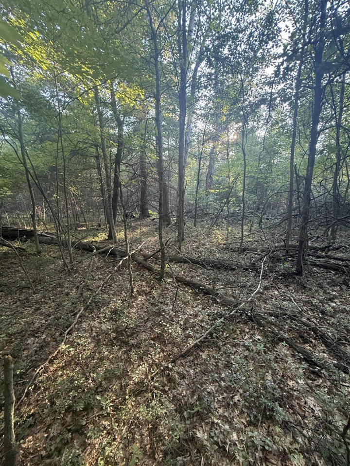 Michael Drive Property Photo 19