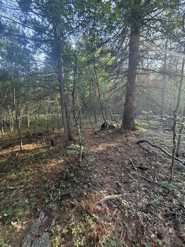 Michael Drive Property Photo 20