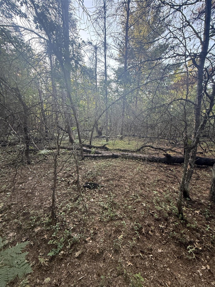 Michael Drive Property Photo 23