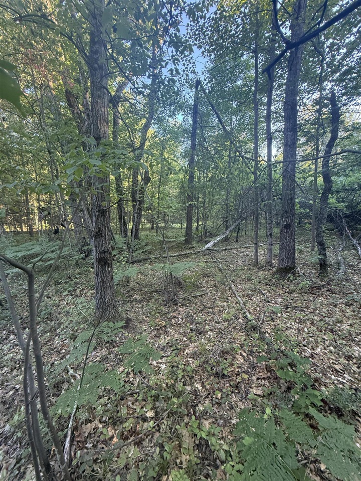 Michael Drive Property Photo 24