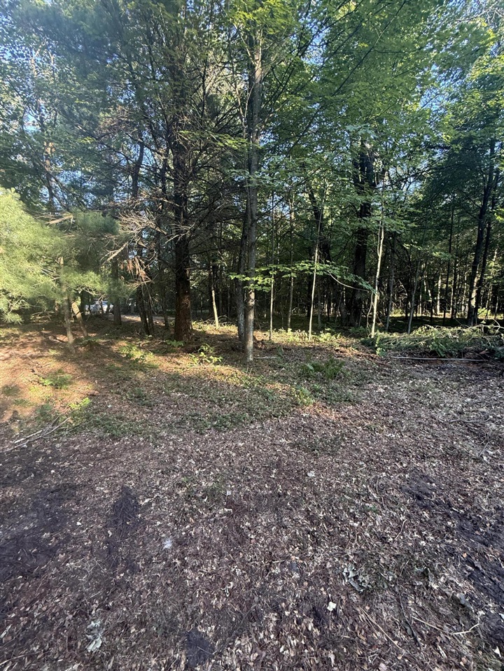 Michael Drive Property Photo 25