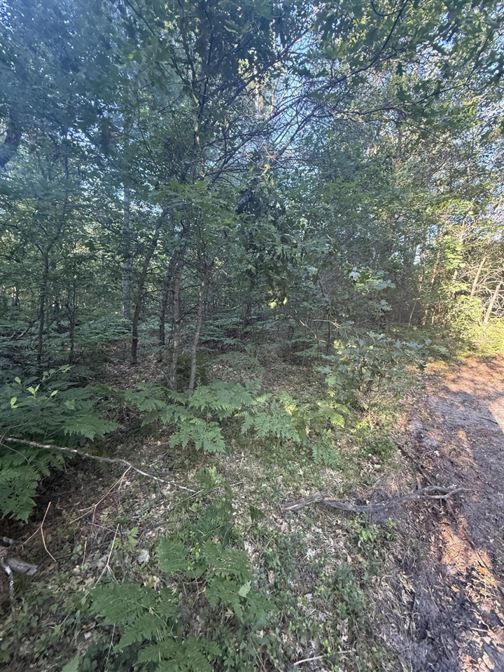 Michael Drive Property Photo 26