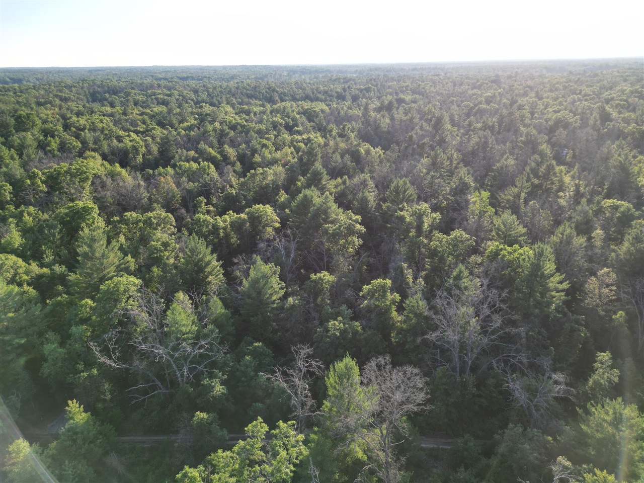 Michael Drive Property Photo 29