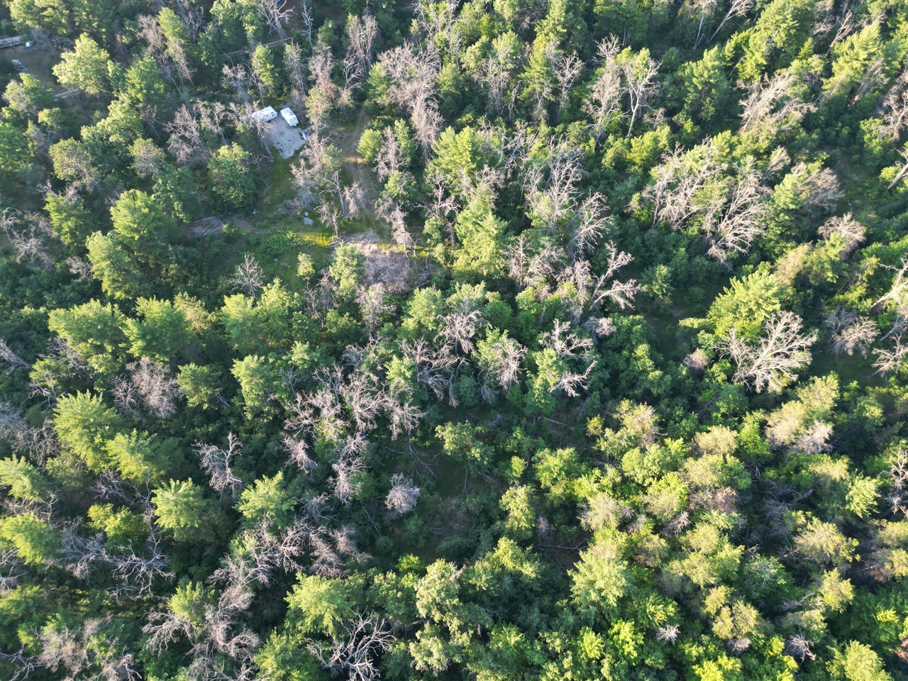 Michael Drive Property Photo 30