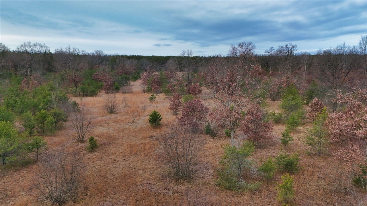 3728 N Custer Road Property Photo 1