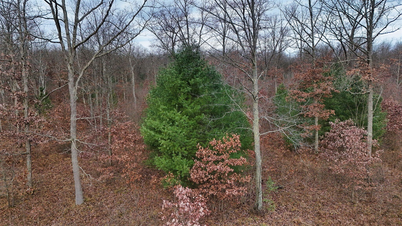 3728 N Custer Road Property Photo 2