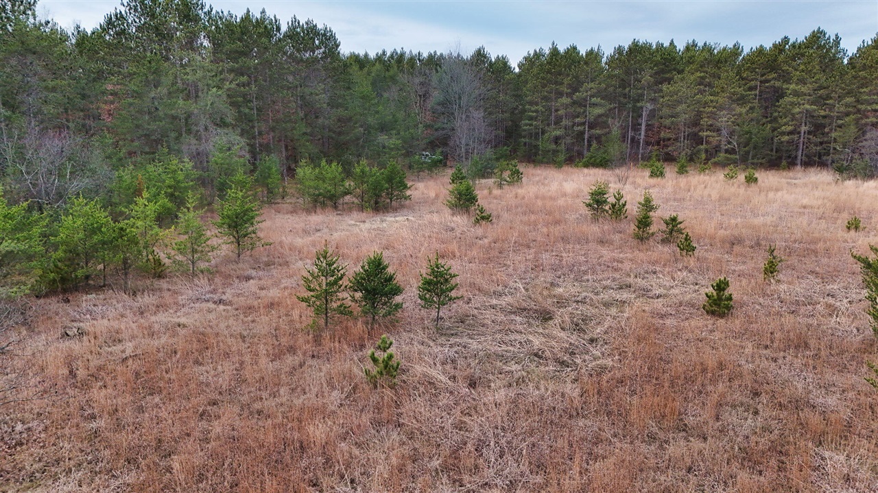 3728 N Custer Road Property Photo 4