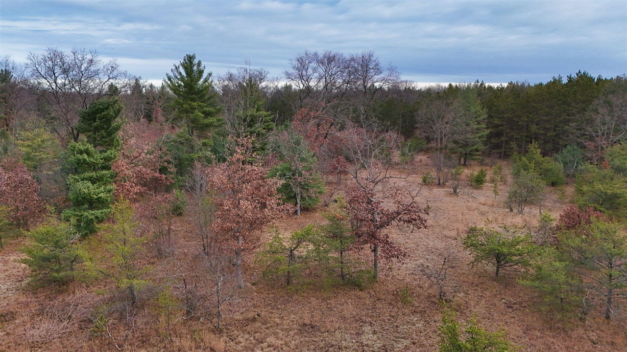 3728 N Custer Road Property Photo 5