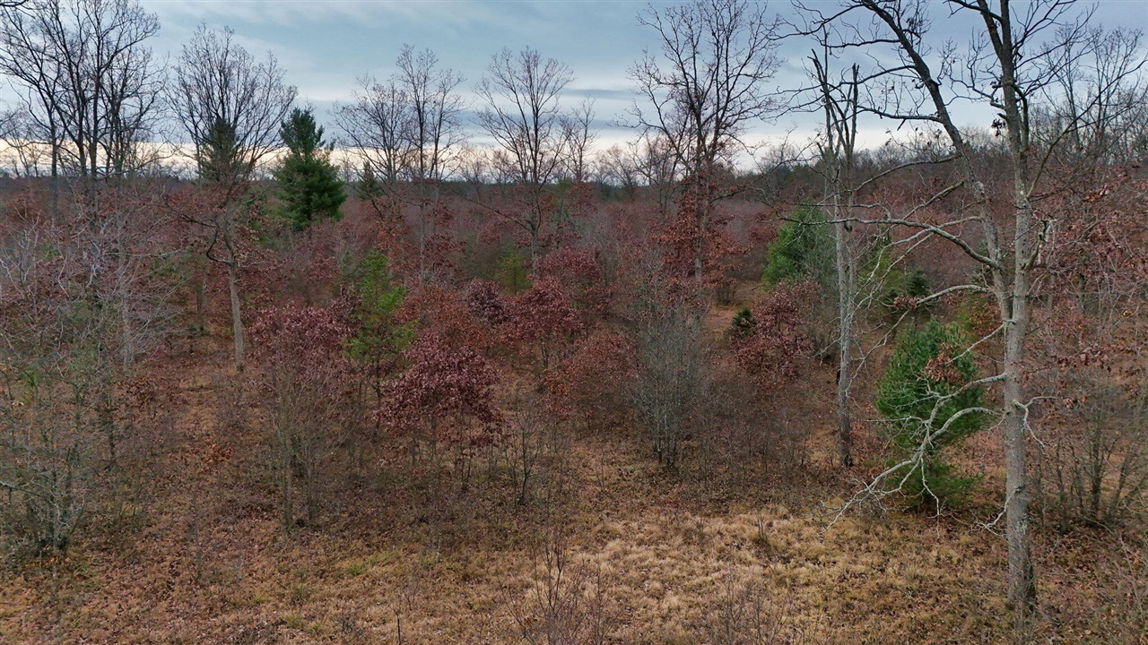 3728 N Custer Road Property Photo 6