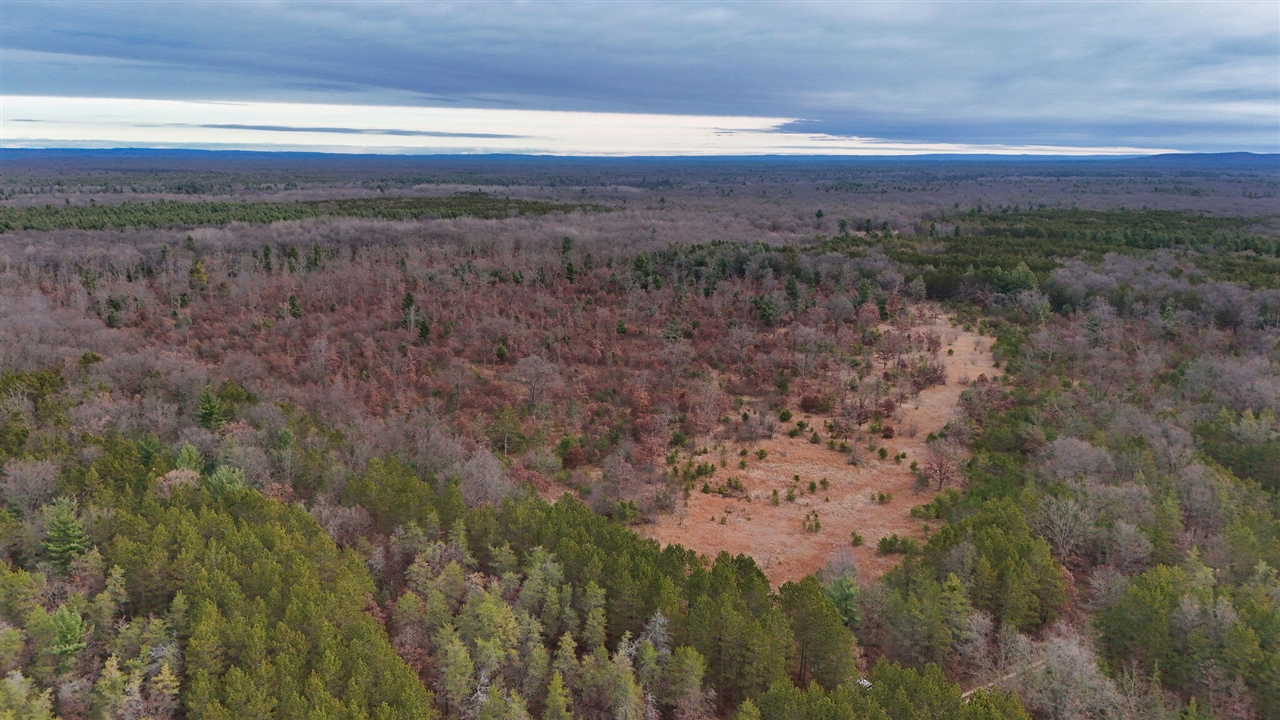 3728 N Custer Road Property Photo 8