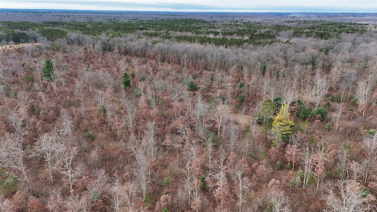 3728 N Custer Road Property Photo 11