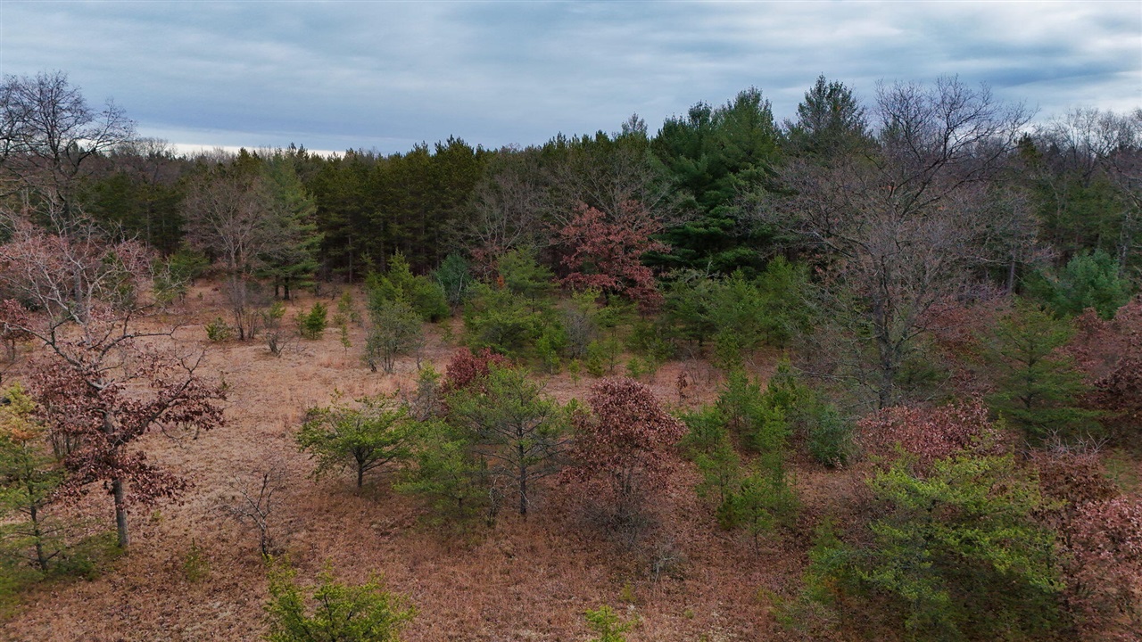 3728 N Custer Road Property Photo 18