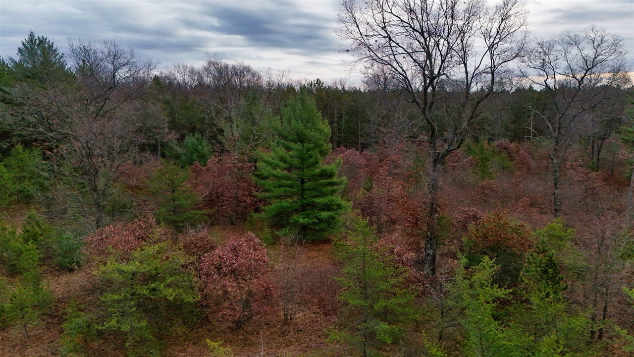 3728 N Custer Road Property Photo 19