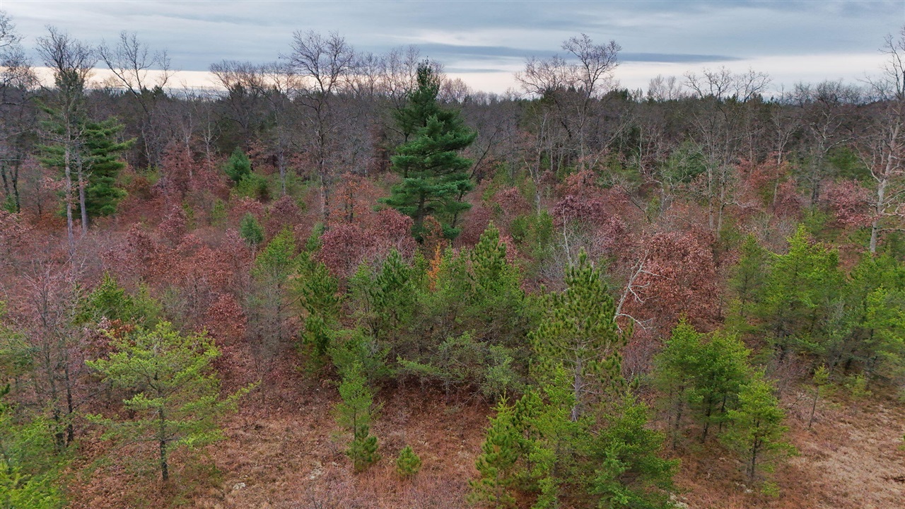 3728 N Custer Road Property Photo 20