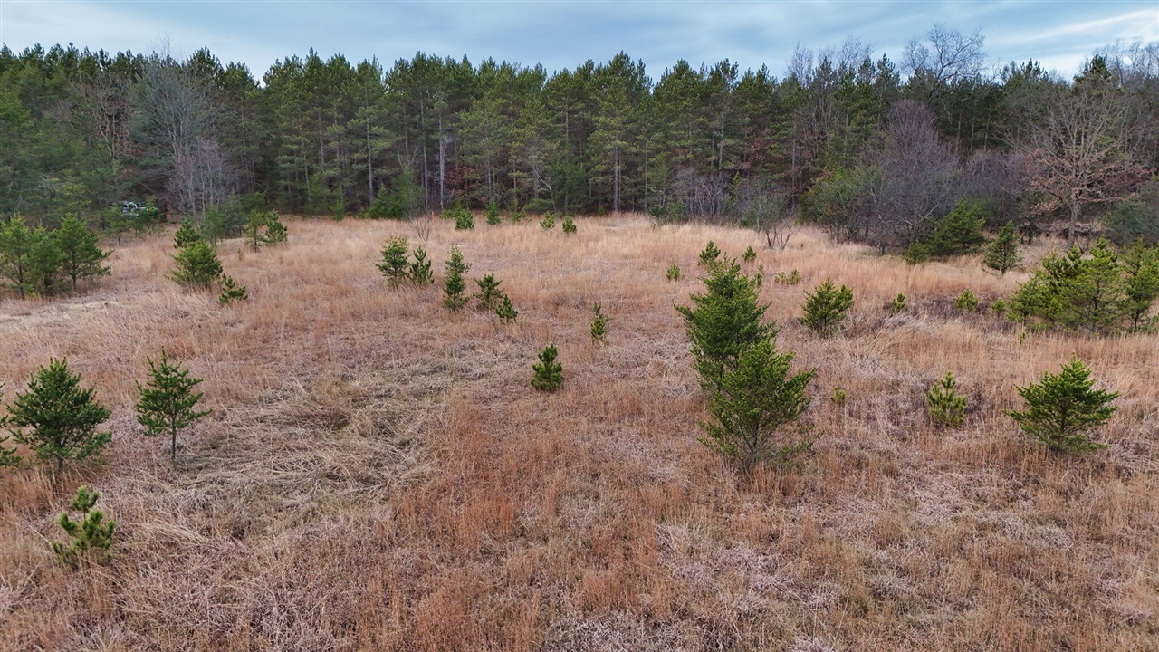 3728 N Custer Road Property Photo 21